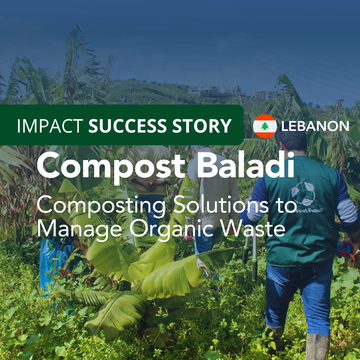 cewas middle east compost baladi